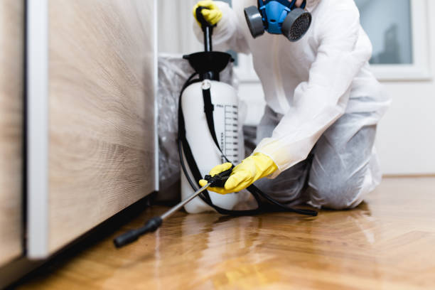 Best Insect Control  in Tupelo, MS