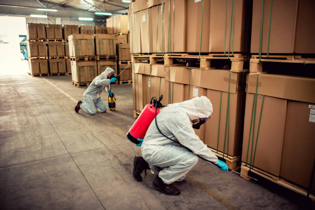 Best Affordable Pest Control Services  in Tupelo, MS