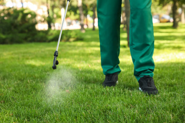 Best Flea Control Services  in Tupelo, MS