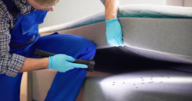 Best Best Pest Control Companies  in Tupelo, MS