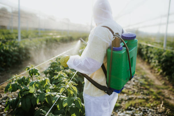 Tupelo, MS Pest Control Company